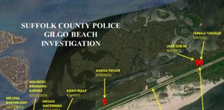Long Island serial killings